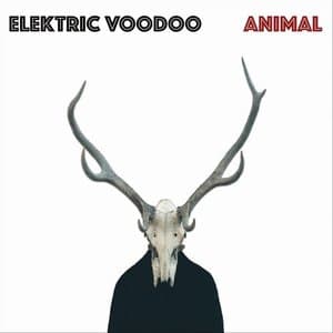 Animal