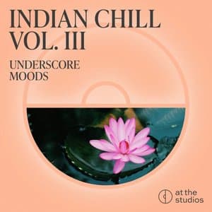 Indian Chill Vol. III