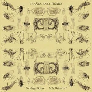 17 Anos Bajo Tierra