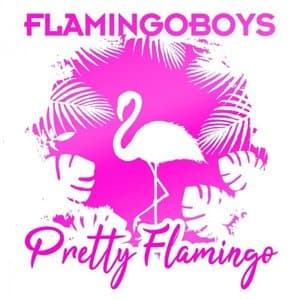 Pretty Flamingo