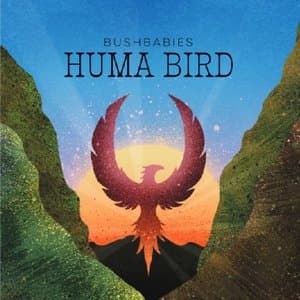 Bushbabies / Huma Bird