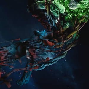 Entropia