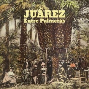 Entre palmeras