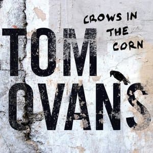 Crows in the Corn