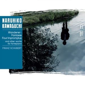 Schubert: Wanderer-Fantasie, Four Impromptus and Other Works for Fortepiano