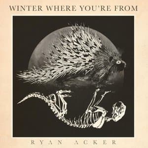 Winter Where Youre from