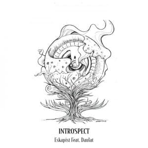 Introspect