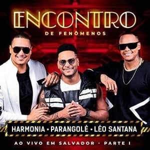Encontro De Fenomenos (Ao Vivo / Part. I)