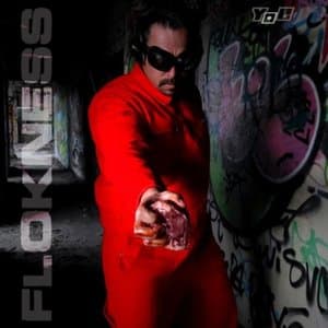 Flokness