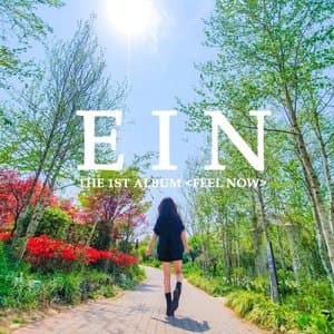 The 1st Album (FEEL NOW)