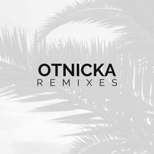 Remixes
