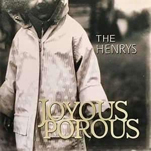 Joyous Porous