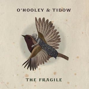 The Fragile