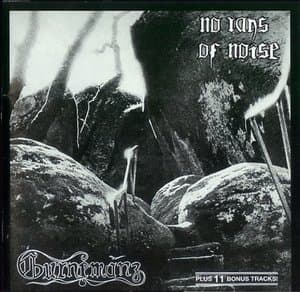 No Rays Of Noise