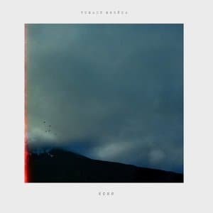 Echo