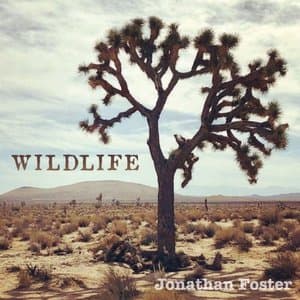 Wildlife