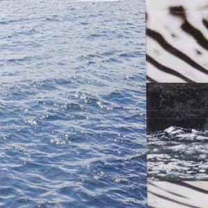 Oceanic Debris