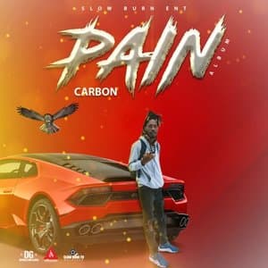 Pain