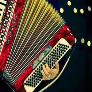 Forro - Axe
