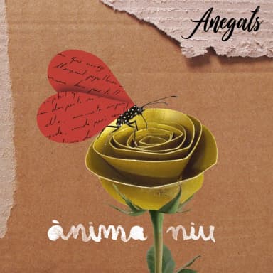 Anima niu