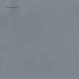 HanniRibordy