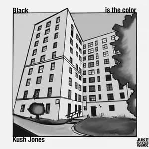 BLACK IS THE COLOR