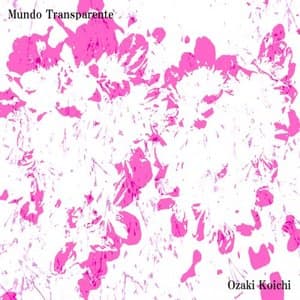 Mundo Transparente