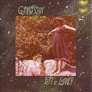 Ginnistan
