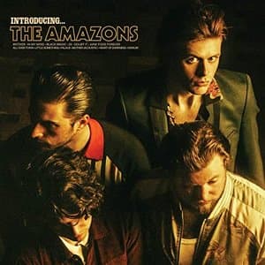 Introducing... The Amazons