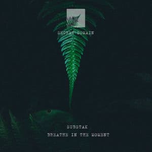 Breathe in the Moment