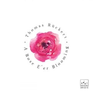 A Rose Eer Blooming
