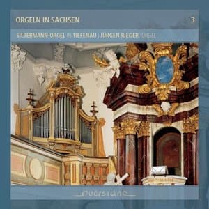 Orgeln in Sachsen 3: Silbermann (Orgeln in Sachsen 3: Silbermann-Orgel in Tiefenau)