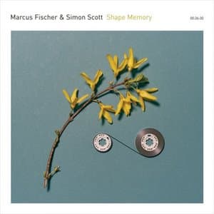 Shape Memory