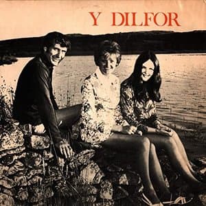 Y Dilfor