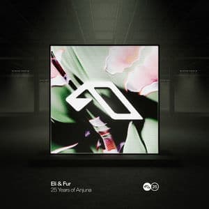 25 Years Of Anjuna Mixed By Eli & Fur
