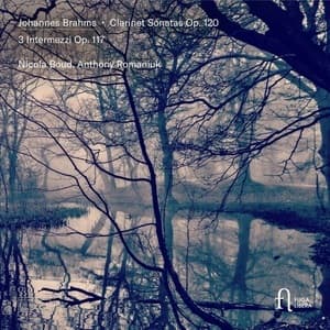 Clarinet Sonatas Op. 120, 3 Intermezzi Op. 117 (Nicola Boud, Anthony Romaniuk)
