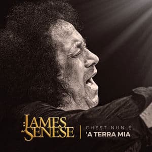 Chest nun è 'a terra mia