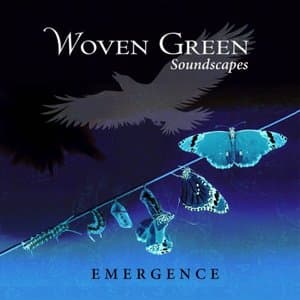 Emergence