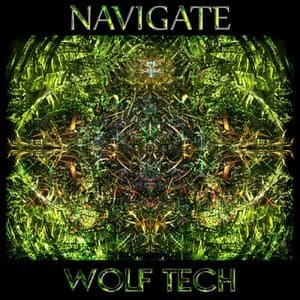 Navigate