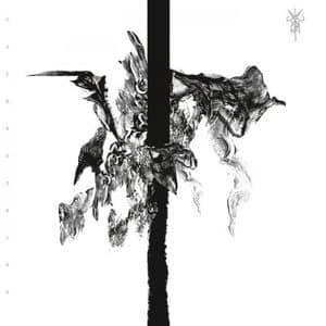S/T