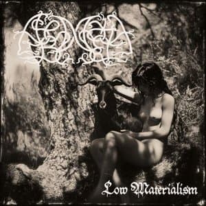 Low Materialism