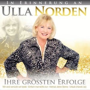 In Erinnerung - Ihre Grossten Erfolge