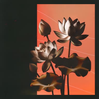 Lotus