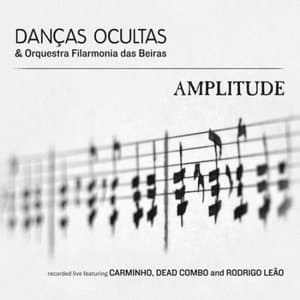 Amplitude