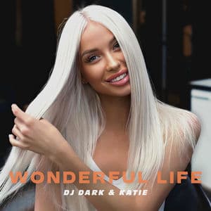 Wonderful Life