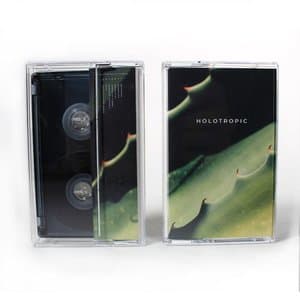Holotropic