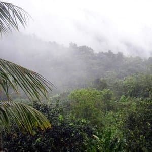 El Yunque
