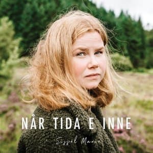 Nar tida e inne