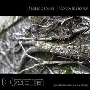 Ozoir (Experiences inanimees)