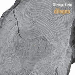 Dilegno